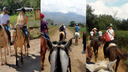 Horseback Riding Adventure.